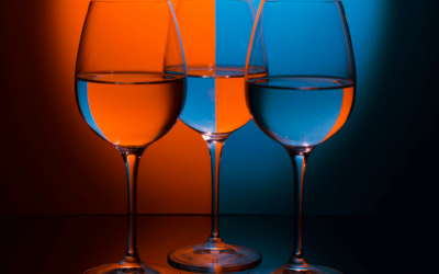 ¿Por qué un Wine Coach?