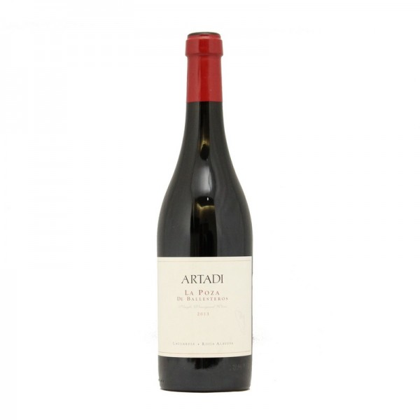 ARTADI LA POZA 2013