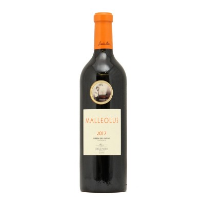 MALLEOLUS