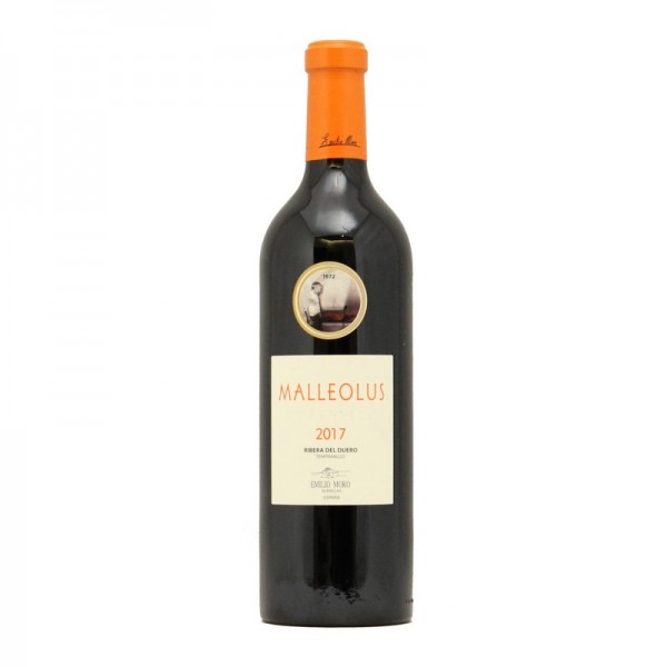 MALLEOLUS