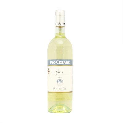 PIO CESARE GAVI DOC