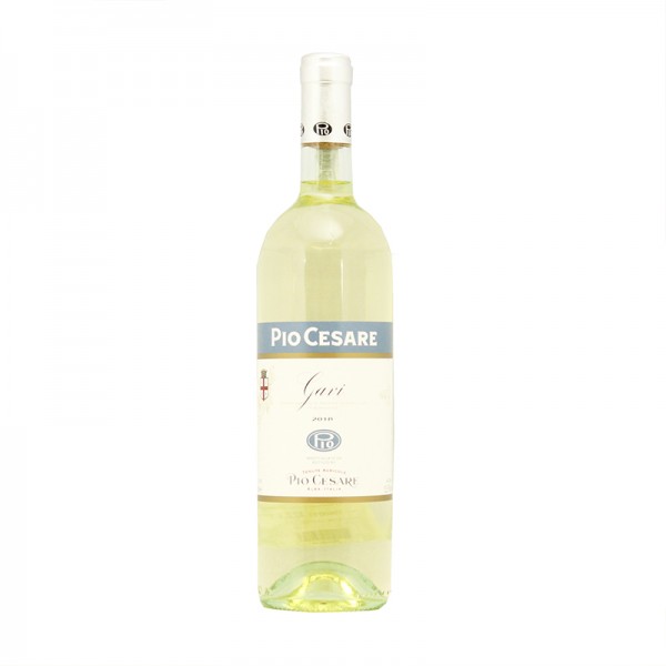 PIO CESARE GAVI DOC