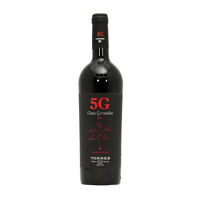 TORRES 5G