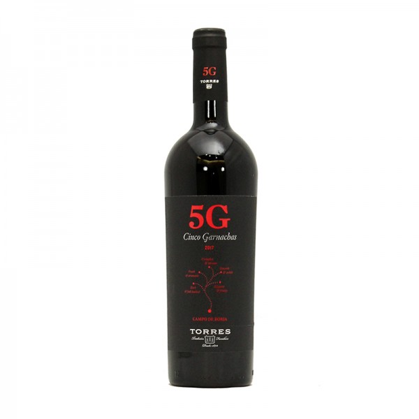 TORRES 5G